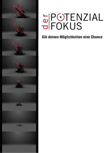 DVD - Der Potenzialfokus im Alltag: gib deinen Möglichkeiten eine Chance