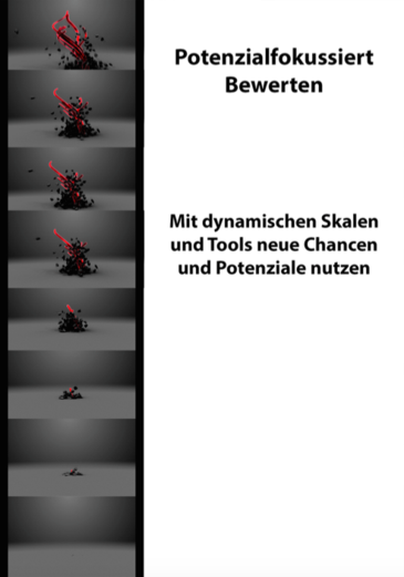 DVD: Potenzialfokussiertes Bewerten